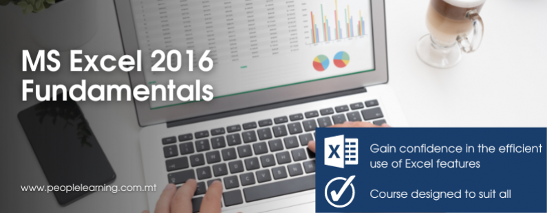 People Learning MS Excel 2016 Fundamentals Course Malta EU Banner 
