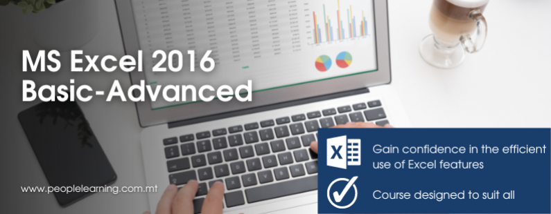 People Learning MS Excel 2016 Basic Advanced Course Malta EU Banner 