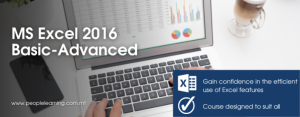 MS EXCEL 2016 Fundamentals Advanced