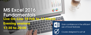 People Learning MS Excel 2016 Fundamentals Course Malta EU Banner 2